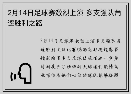 2月14日足球赛激烈上演 多支强队角逐胜利之路