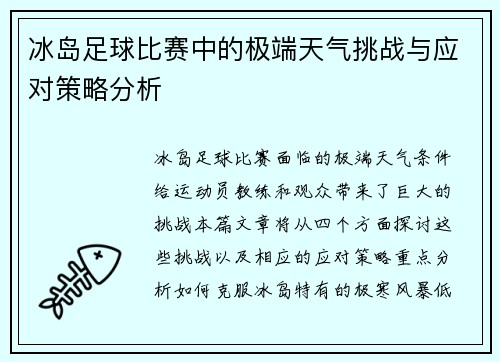 冰岛足球比赛中的极端天气挑战与应对策略分析