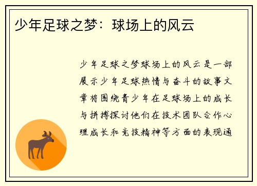 少年足球之梦：球场上的风云
