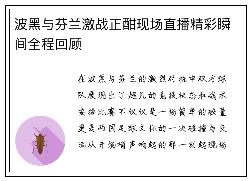 波黑与芬兰激战正酣现场直播精彩瞬间全程回顾