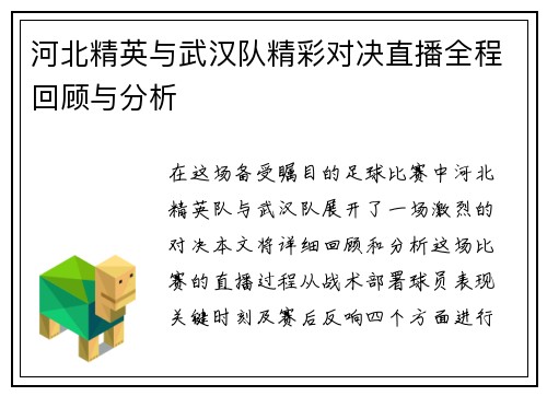 河北精英与武汉队精彩对决直播全程回顾与分析