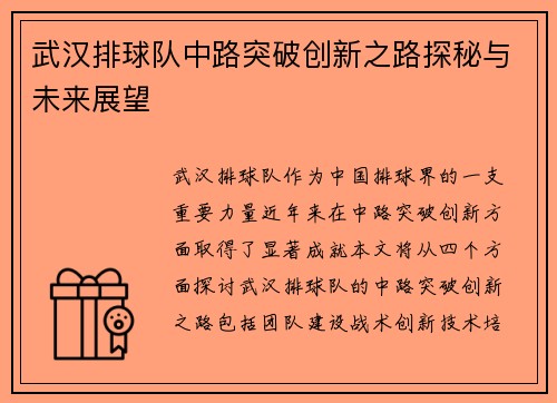 武汉排球队中路突破创新之路探秘与未来展望